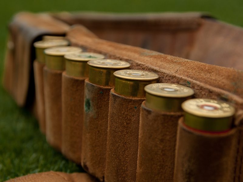 hagelgeweer patronen